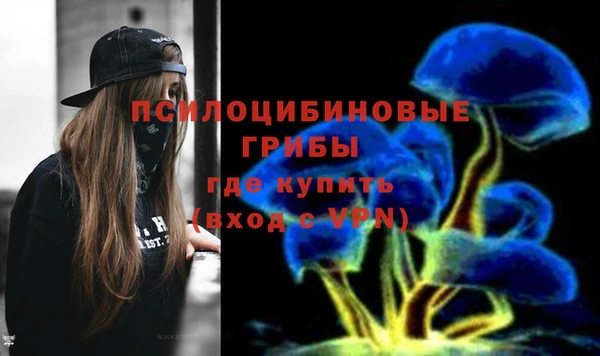 мяу мяу мука Алексеевка