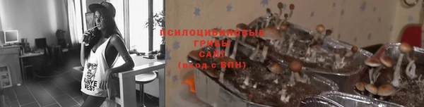 МДПВ Алексин