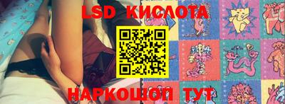 шишки Вязьма