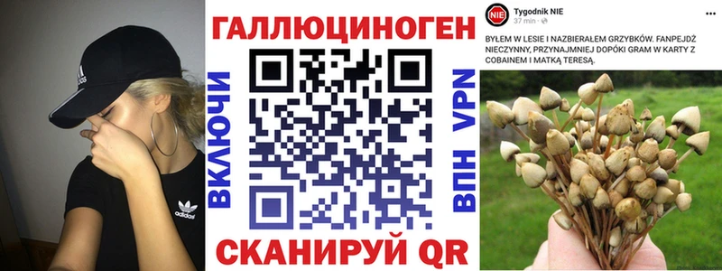 кракен как войти  Пермь  Псилоцибиновые грибы GOLDEN TEACHER 