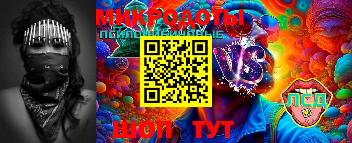 Пермь  Галлюциногенные грибы Psilocybe  Вход с VPN 